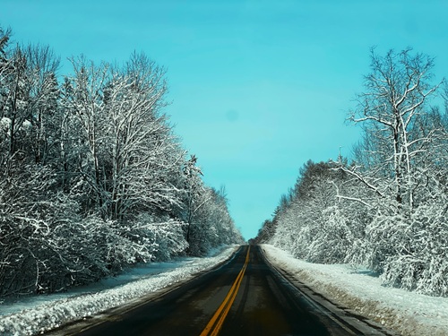 road between snow-covered trees during daytime