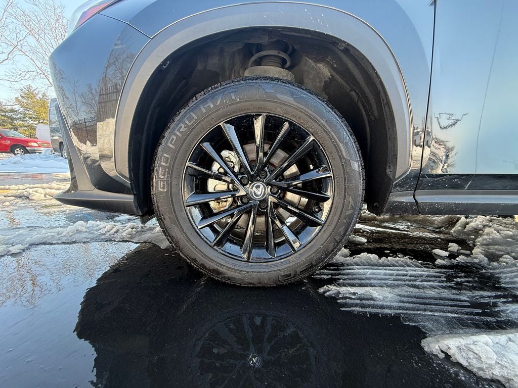 2022 Lexus NX 250 Premium